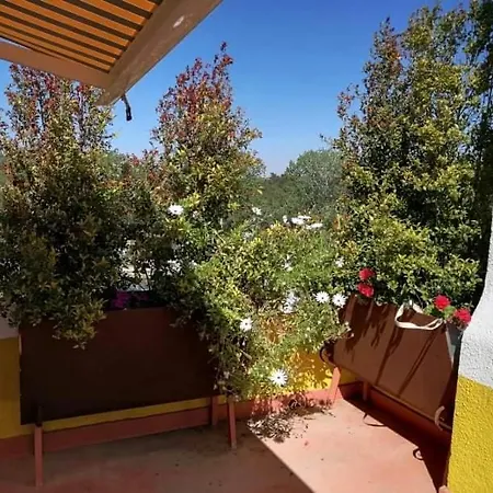 Moradia Com Piscina Na Lagoa De Albufeira * Sesimbra